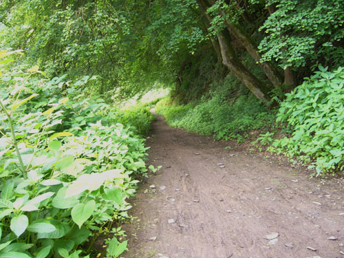 Radtour 2012 042-20120607