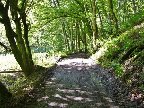 Radtour 2012 119-20120608