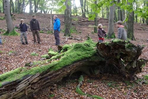 Wildnis201