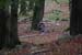 Wildnis077