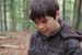 Wildnis154